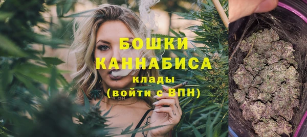 ПСИЛОЦИБИНОВЫЕ ГРИБЫ Алзамай