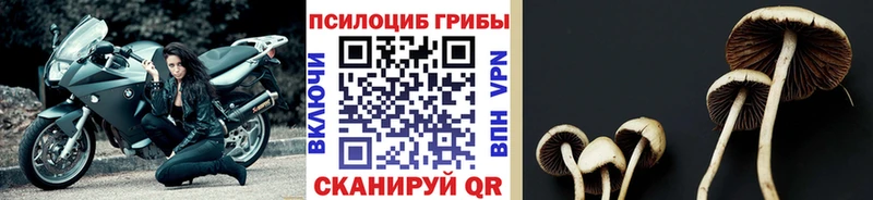 Галлюциногенные грибы ЛСД  KRAKEN зеркало  Дзержинск  купить наркотик 